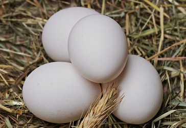 Ouăle se scumpesc accelerat. Primele semne de penurie în supermarketuri din UE