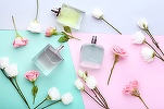 EXCLUSIV Intrare în România - Unul dintre cei mai mari distribuitori de cosmetice și parfumuri din Cehia vine pe piața locală