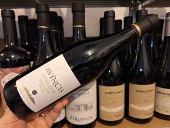 Vinul zilei: un Sauvignon Blanc cu note de fructe exotice, grapefruit și accente vegetale fine. Ideal alături de pește, fructe de mare sau preparate din carne de pasăre