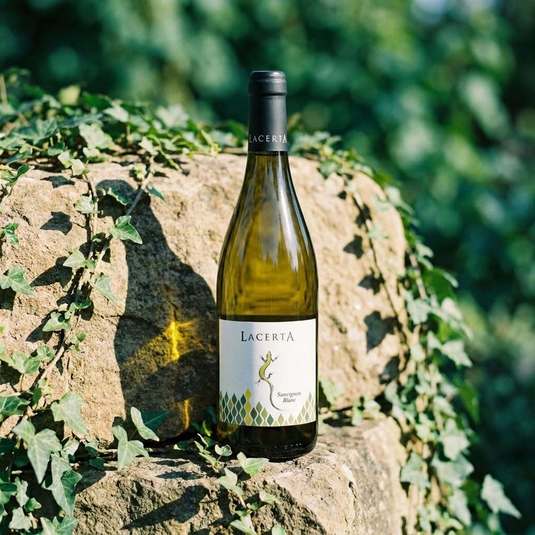 Vinul zilei: ai grijă câte sticle pui la rece, acest Sauvignon Blanc-ul cucerește prin notele de grapefruit, corcodușe, lime, având o prospețime explozivă