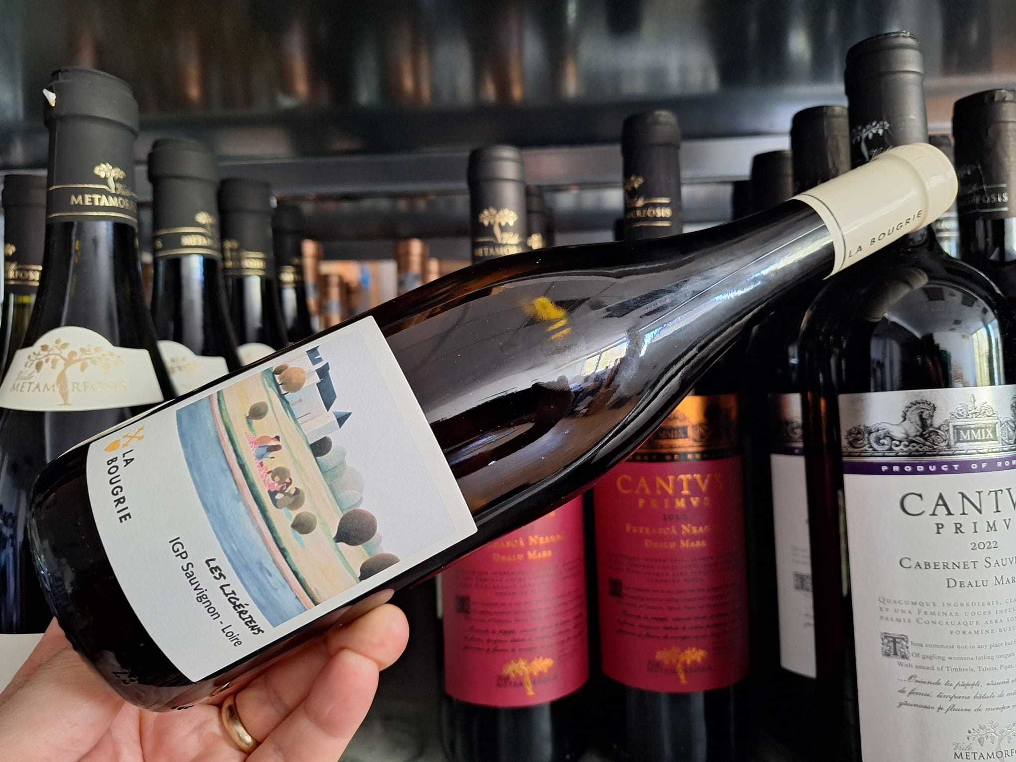 Vinul zilei: un Sauvignon Blanc din Valea Loarei, cu arome de piersică de vie, citrice și muguri de coacăz negru. Proaspăt, mineral și echilibrat, este alegerea ideală pentru pește, fructe de mare și aperitive