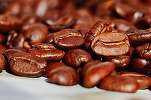 Scumpiri la cafea. Stocuri aproape de minime la Arabica