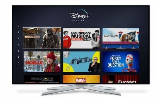 Serviciile de video streaming au pierdut peste 9 miliarde de dolari în 2019 din cauza Password Sharing-ului