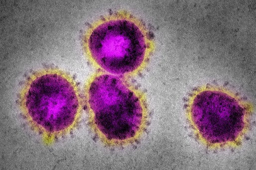 Declarație comună Facebook, Google, LinkedIn, Microsoft, Reddit, Twitter și YouTube - promit să lupte împotriva dezinformării legate de coronavirus