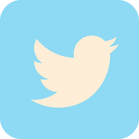 Twitter a creat o echipă care să monitorizeze conținutul dăunător, înainte de împlinirea unui an de la asaltarea Capitoliului de către susținători ai lui Donald Trump