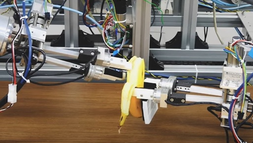 VIDEO Un robot japonez poate decoji o banană în circa trei minute