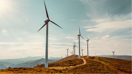 Cum poate inovația în tehnologie să combată schimbările climatice?