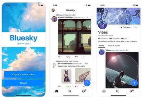 Bluesky a crescut cu 5% în ziua în care Elon Musk anunța că X va fi accesat doar contracost
