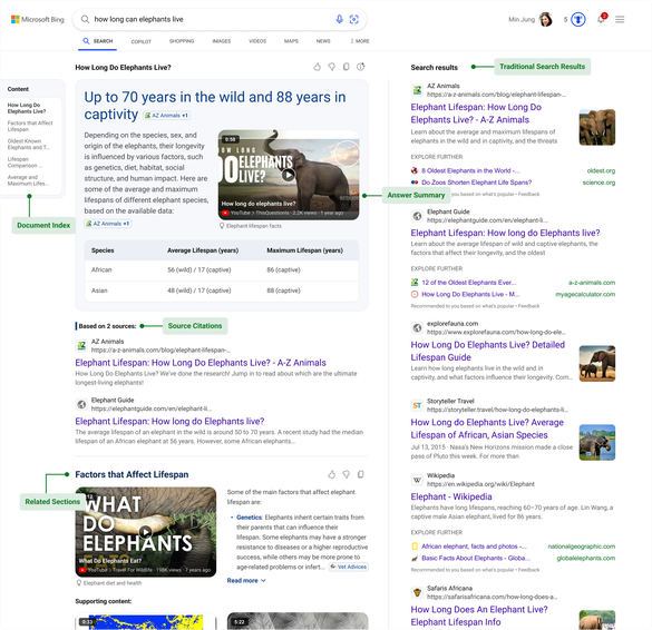 Bing este cel mai nou motor de căutare care adaugă răspunsuri generate de AI