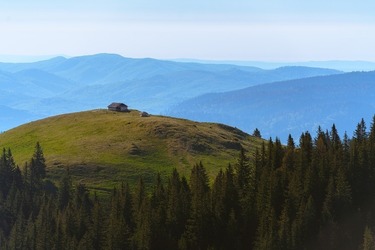 SURPRIZĂ - STS se implică în monitorizarea pădurilor României
