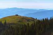 SURPRIZĂ - STS se implică în monitorizarea pădurilor României