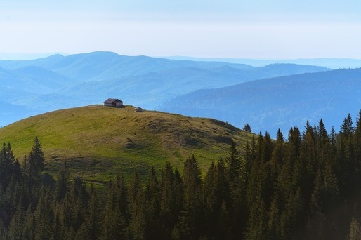 SURPRIZĂ - STS se implică în monitorizarea pădurilor României