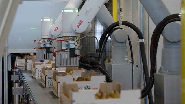 EXCLUSIV FOTO – Afacere cedată în România în favoarea unui gigant. Primul efect al unui acord de peste 5 miliarde dolari: ABB pregătește vânzarea business-ului de robotică spre SoftBank