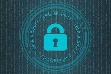 ULTIMA ORĂ Recompense pentru cine găsește probleme de securitate în sistemele online ale statului. Programe Bug Bounty - proiect