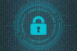 ULTIMA ORĂ Recompense pentru cine găsește probleme de securitate în sistemele online ale statului. Programe Bug Bounty - proiect
