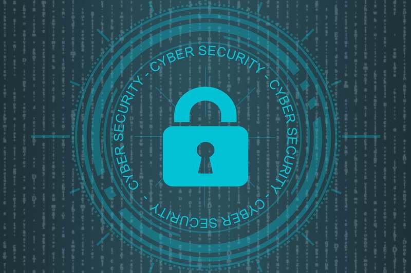 ULTIMA ORĂ Recompense pentru cine găsește probleme de securitate în sistemele online ale statului. Programe Bug Bounty - proiect