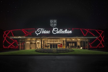 Țiriac Collection va fi deschisă gratuit în Noaptea Muzeelor, dar cu o limită