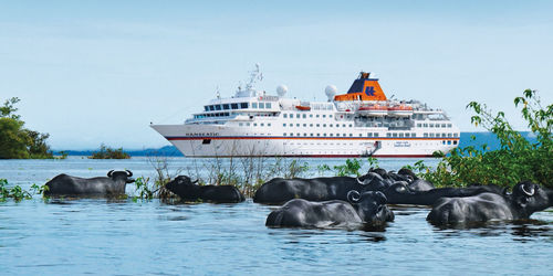 Vard construiește în România coca unui vas de expediție de lux pentru o companie germană din grupul TUI