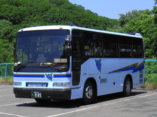 Autoritatea Rutieră Română a lansat în teste aplicația Mersul Interjudețean al Autobuzelor