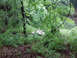 Una dintre victimele accidentului aviatic din Buzău - un om de afaceri din Cluj, cu proiecte imobiliare; celălalt bărbat era din Constanța