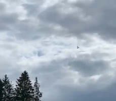 VIDEO Nouă morți în urma prăbușirii unui avion de mici dimensiuni în Suedia
