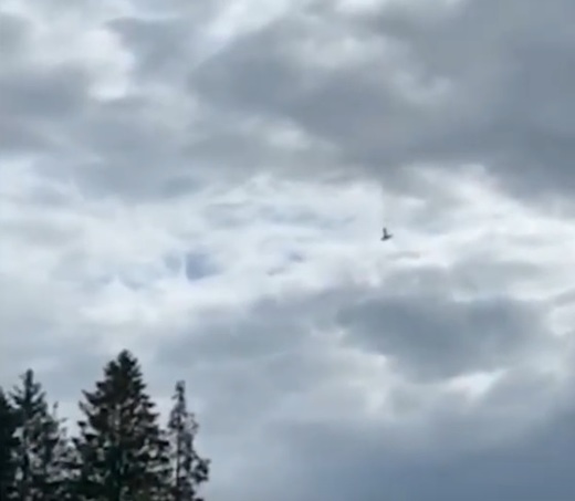 VIDEO Nouă morți în urma prăbușirii unui avion de mici dimensiuni în Suedia