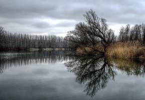 Guvernul ceh a aprobat un canal care va lega Dunărea de Marea Nordului