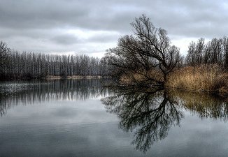 Guvernul ceh a aprobat un canal care va lega Dunărea de Marea Nordului