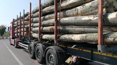Amenzi mari aplicate TIR-urilor. Ministrul Transporturilor: Aviz amatorilor: aceste controale se fac în sfârșit pe bune!