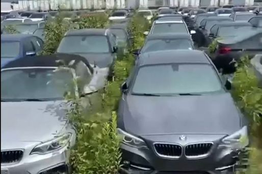 VIDEO 3000 de mașini BMW noi-nouțe, abandonate fără stăpân într-o parcare