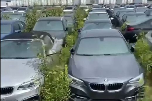 VIDEO 3000 de mașini BMW noi-nouțe, abandonate fără stăpân într-o parcare