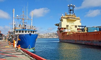 Peste 50 milioane tone de mărfuri au trecut în 2021 prin porturile românești