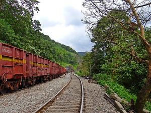 România, printre țările UE cu o creștere semnificativă a transportului feroviar de marfă