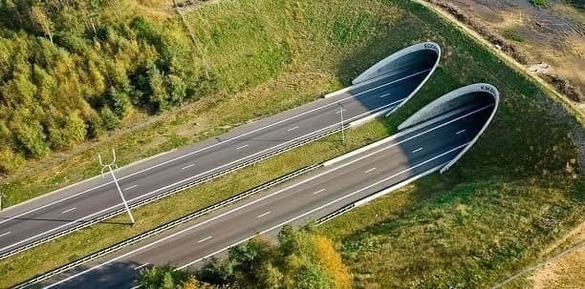 FOTO Start la prima secțiune de autostradă în zona montană din istoria României