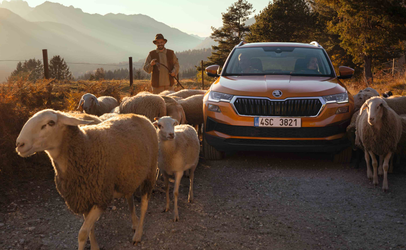 Skoda a pierdut 60% din profitul de acum trei ani. Singura creștere, piața din India