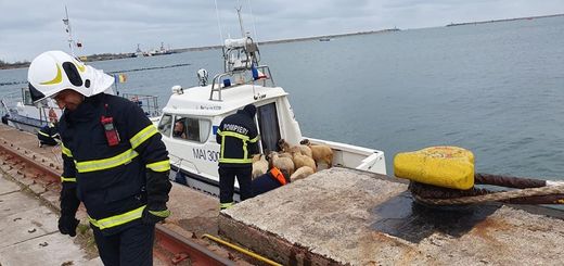 Marinarii băuți în timpul programului au adunat cele mai multe infracțiuni sancționate în campania de 10 zile a Poliției și ANR de verificare a 173 de nave acostate în porturi