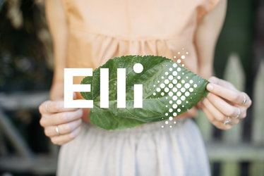 Elli, divizia de energie a VW, intră pe piața de depozitare
