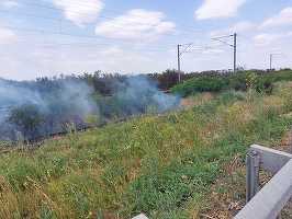 FOTO Circulația pe Autostrada Soarelui A2 între București și Constanța - oprită din cauza unui nou incendiu de vegetație
