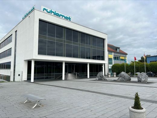 Nou jucător - Furnizor german pentru marii producători de componente auto a intrat în România