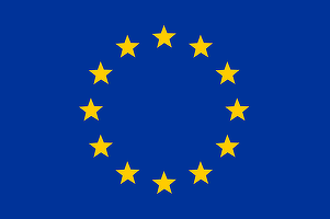 VOT - Taxele pentru mașinile electrice „made in China” divizează statele UE