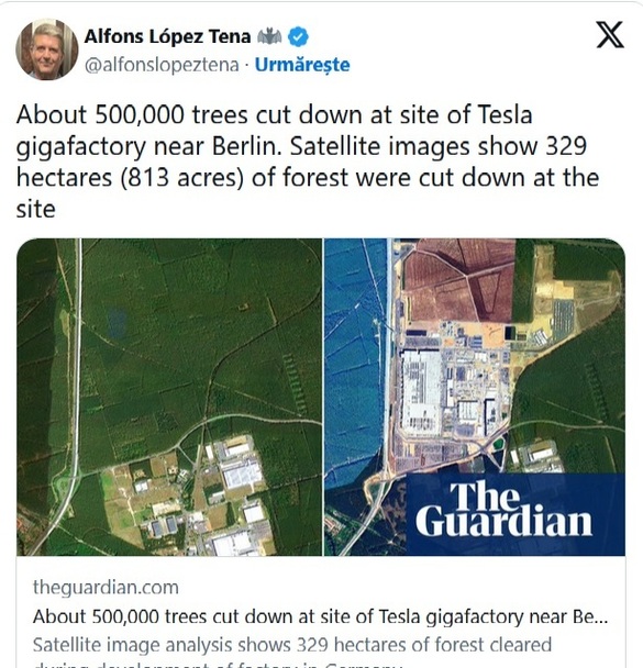 FOTO 500.000 de copaci au fost tăiați pentru o megafabrică Tesla 