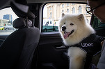 FOTO Uber introduce un nou serviciu în România, după modelul Bolt