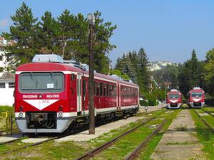 ANPC a amendat Transferoviar Călători. Garnituri de tren, oprite din circulație
