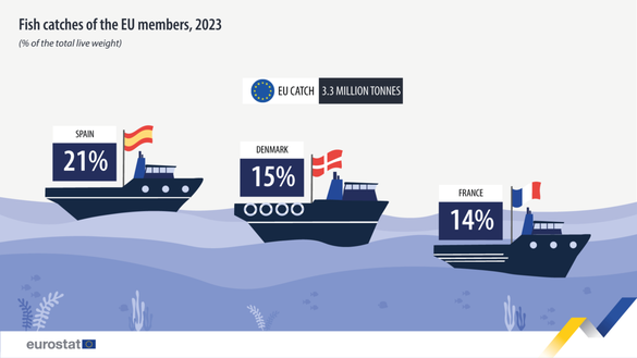 INFOGRAFICE Flota României are cele mai vechi motoare. Navele românești le depășesc doar pe cele din Slovenia la capacitate de pescuit