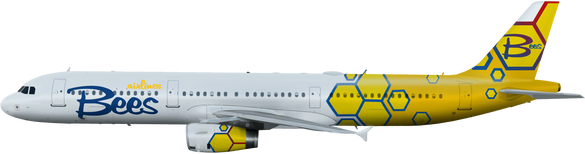 FOTO Compania aeriană Bees Airlines, proaspăt lansată în România, indicată că renunță la toate zborurile comerciale regulate. Mesaj nuanțat pe o platformă străină