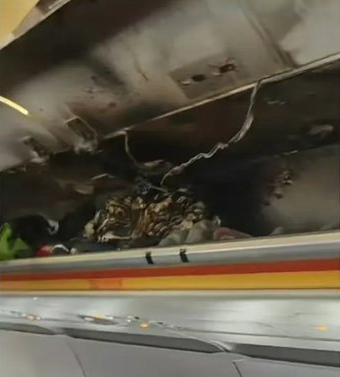 VIDEO Cabina unui avion al companiei Hong Kong Airlines a luat foc în timpul zborului 