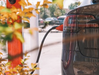Profiturile Tesla se prăbușesc – Venitul net a scăzut cu 71% față de anul precedent. Elon Musk promite investitorilor că își va reduce activitatea în DOGE
