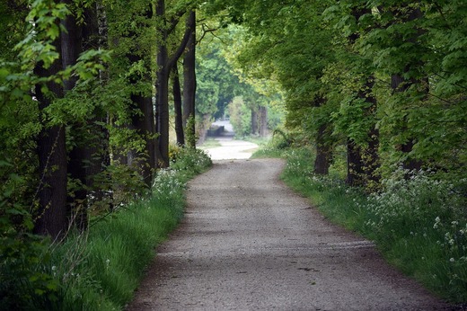 Cel mai mare proiect rutier din Vâlcea: 80 de milioane de euro pentru modernizarea unui drum strategic 