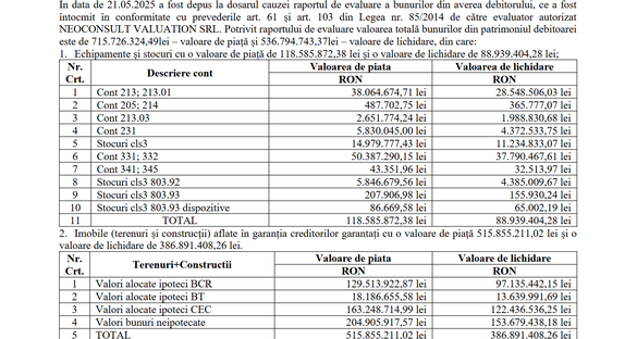 TABELE Valoarea bunurilor Romaero NU acoperă datoriile companiei de stat insolvente. Se discută despre disponibilizarea a 10% din personalul ″non-operativ″