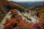 Restricții de trafic pe DN 1 A